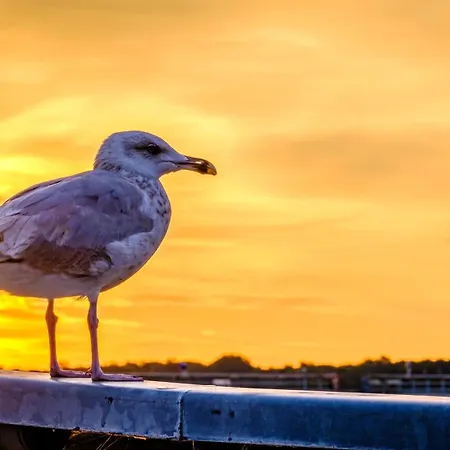 Waterfront 2 Travemuende *