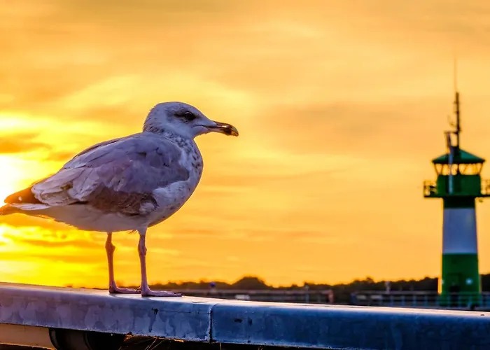 Waterfront 2 Travemuende *